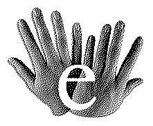ell.jpg