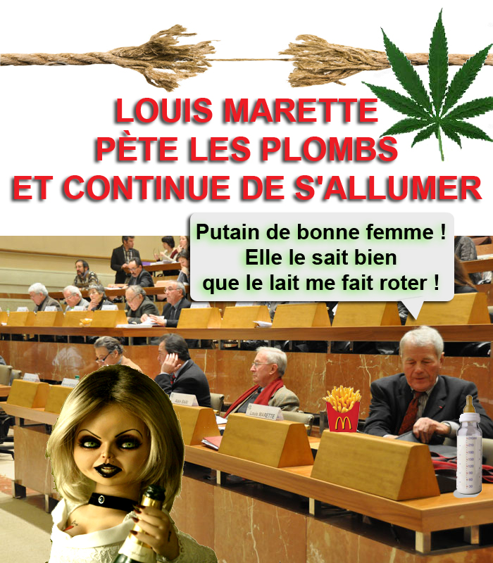 louis_marette_conseil_general